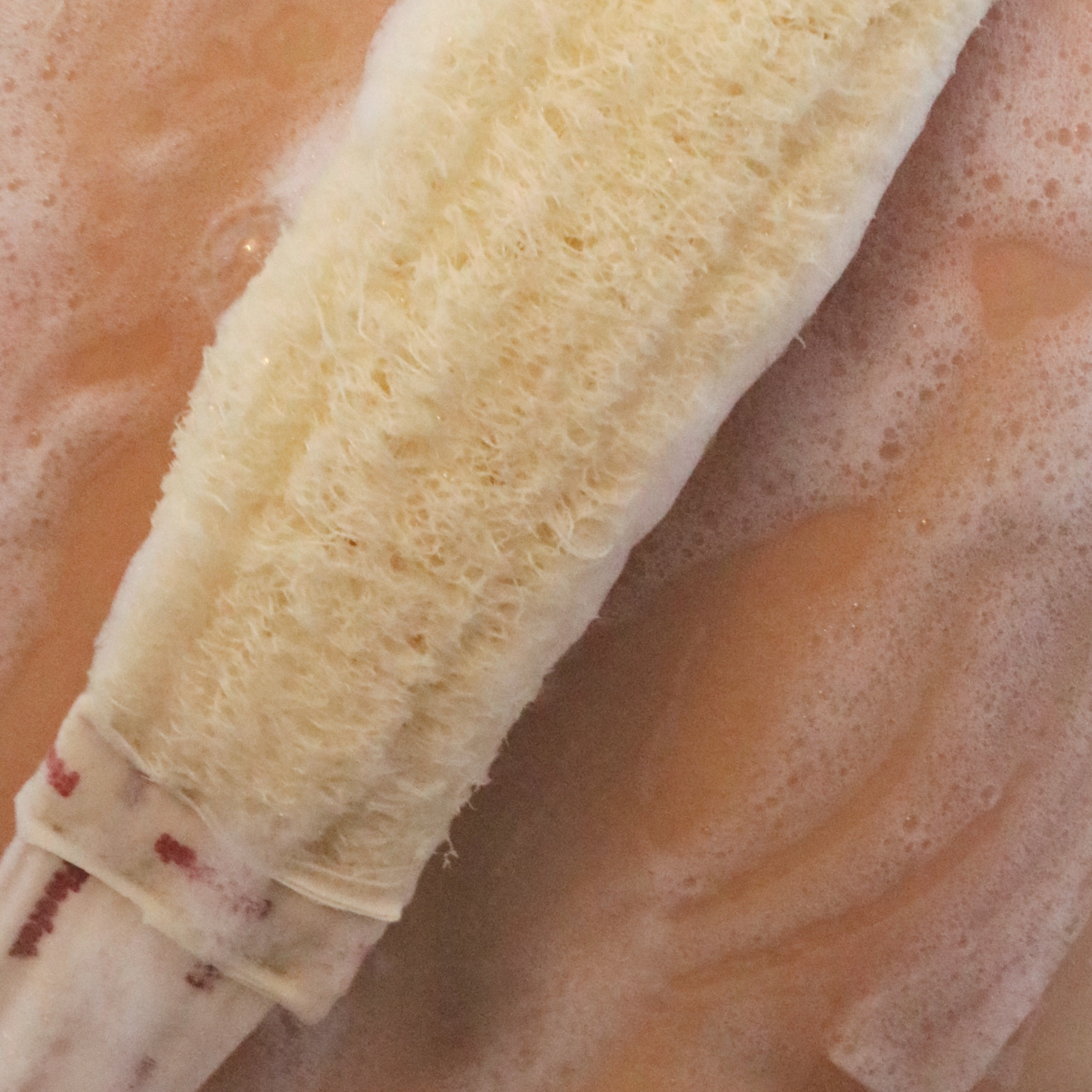 2-in-1 Exfoliating Back Scrubber