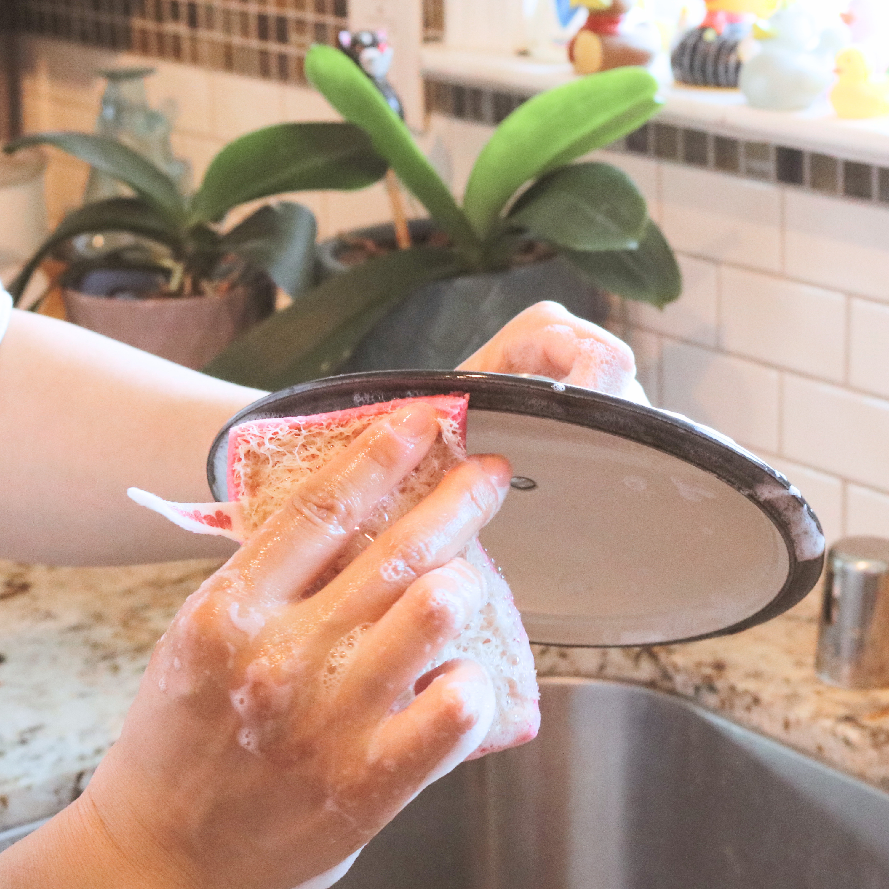 Floofah Luffa+Wood Dual Kitchen Sponge - Pink