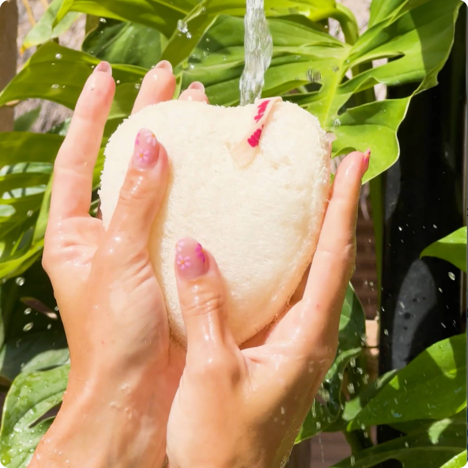 Natural Loofah Replacement Sponge for Shower - Floofah